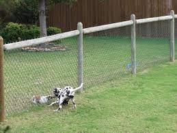 Fencing To Save Your Pooch